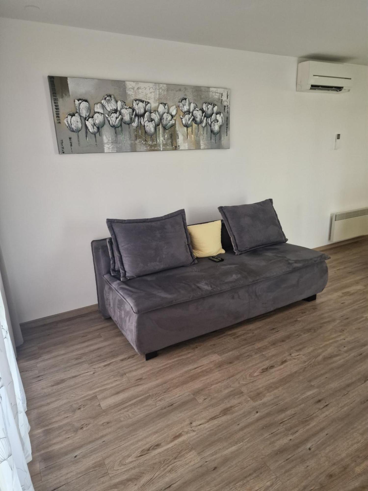 Family Apartment Moravske Toplice Esterno foto