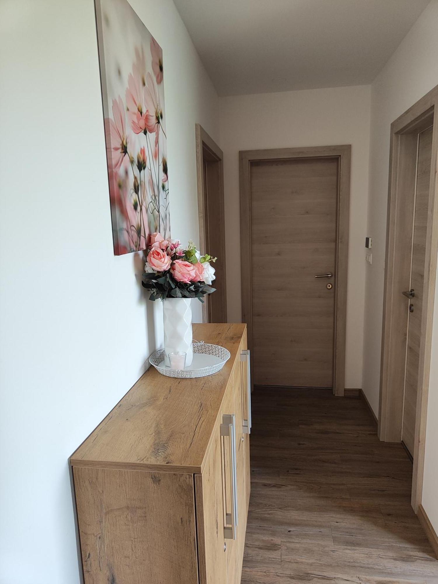 Family Apartment Moravske Toplice Esterno foto