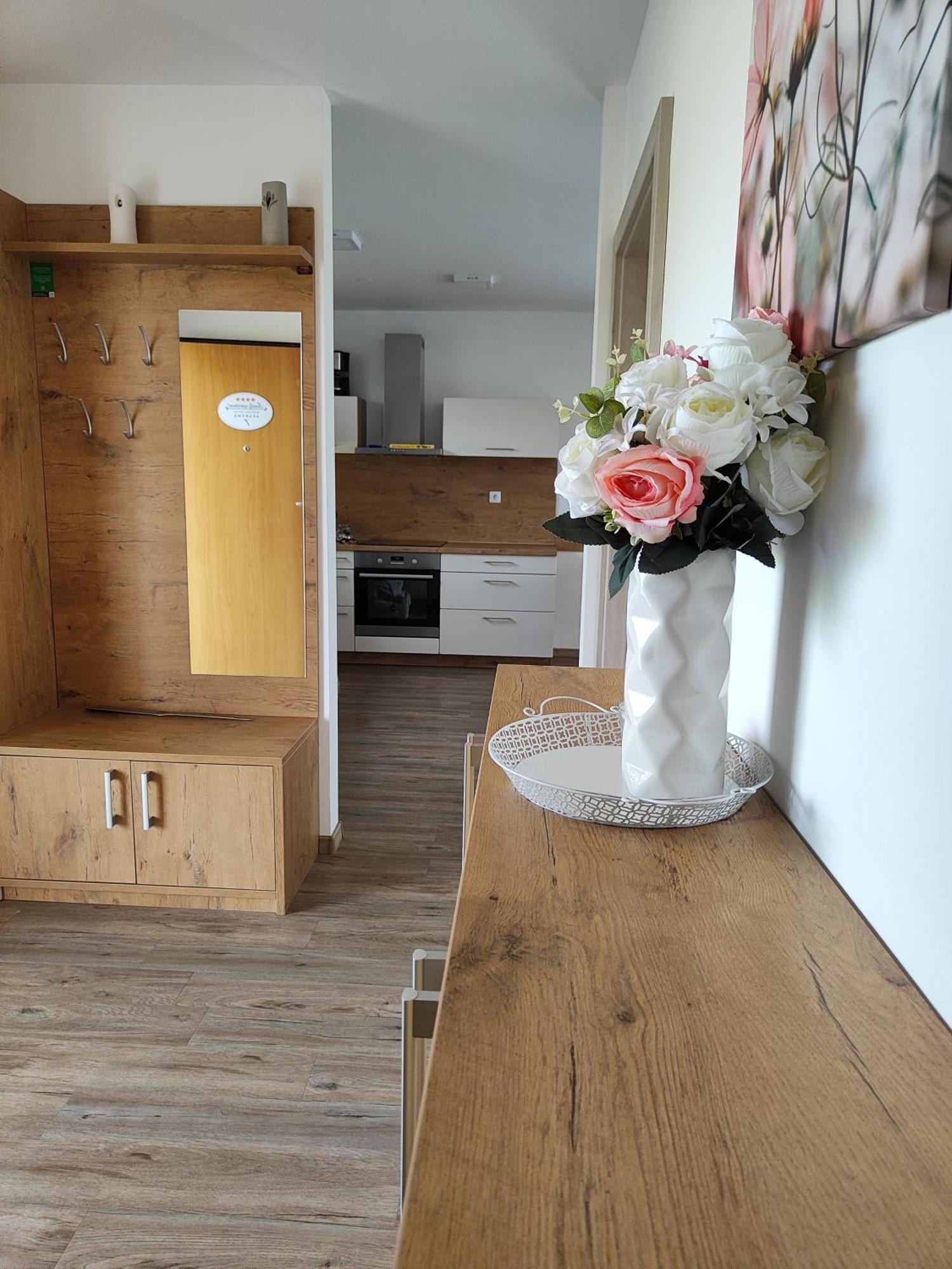 Family Apartment Moravske Toplice Esterno foto