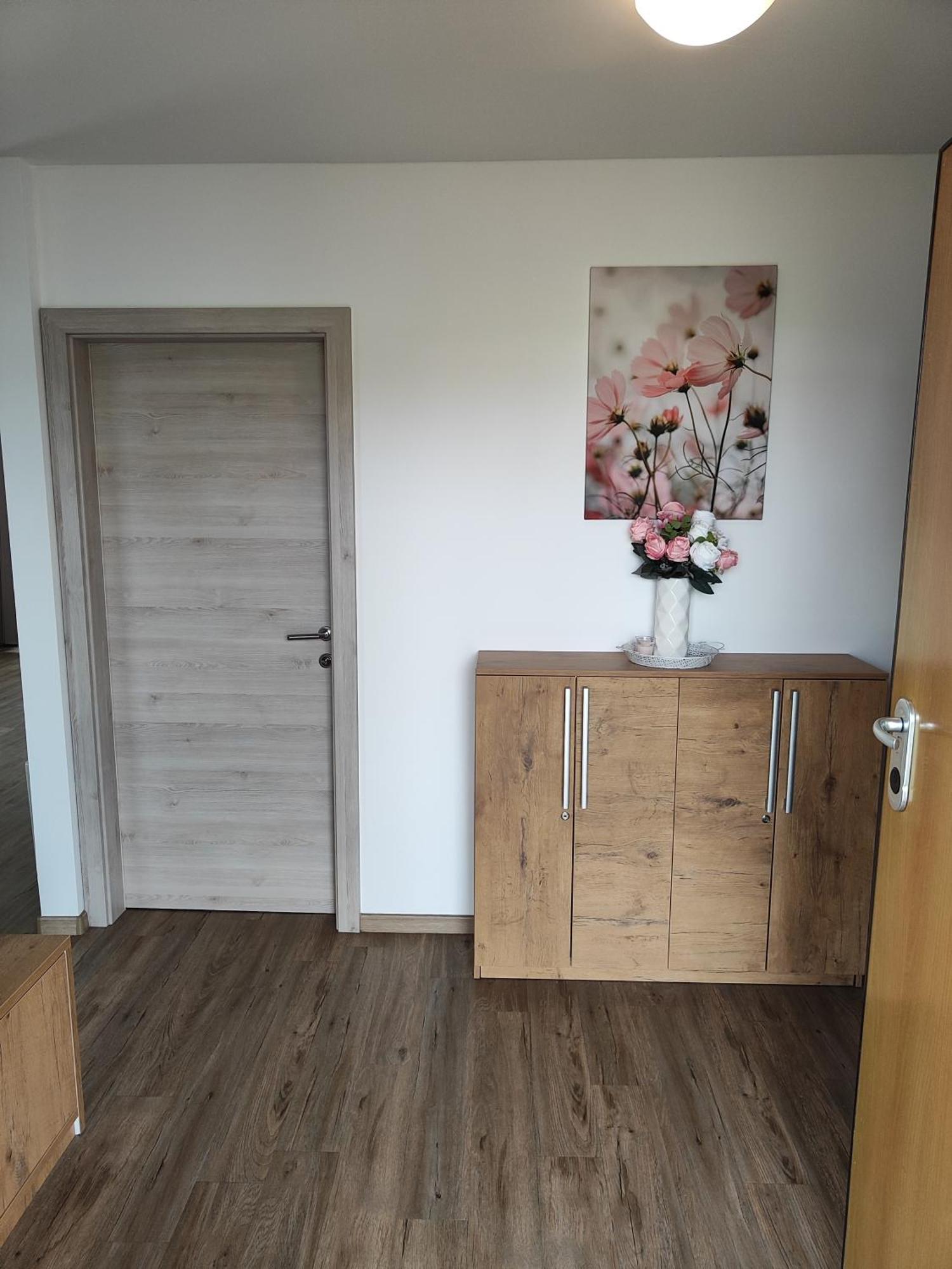 Family Apartment Moravske Toplice Esterno foto